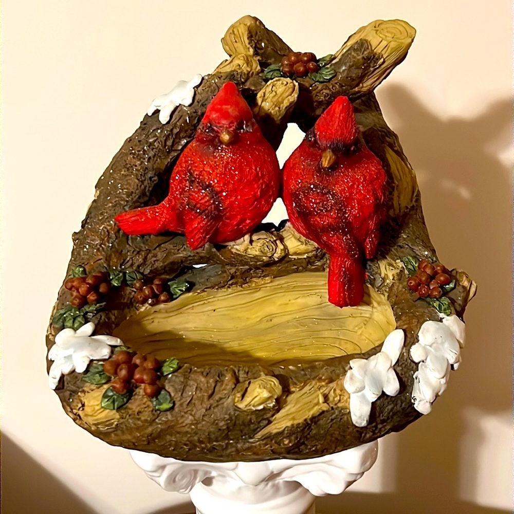 Cardinal Birds with Small Bowl Front Of Them. 🪺🪹🪶🕊